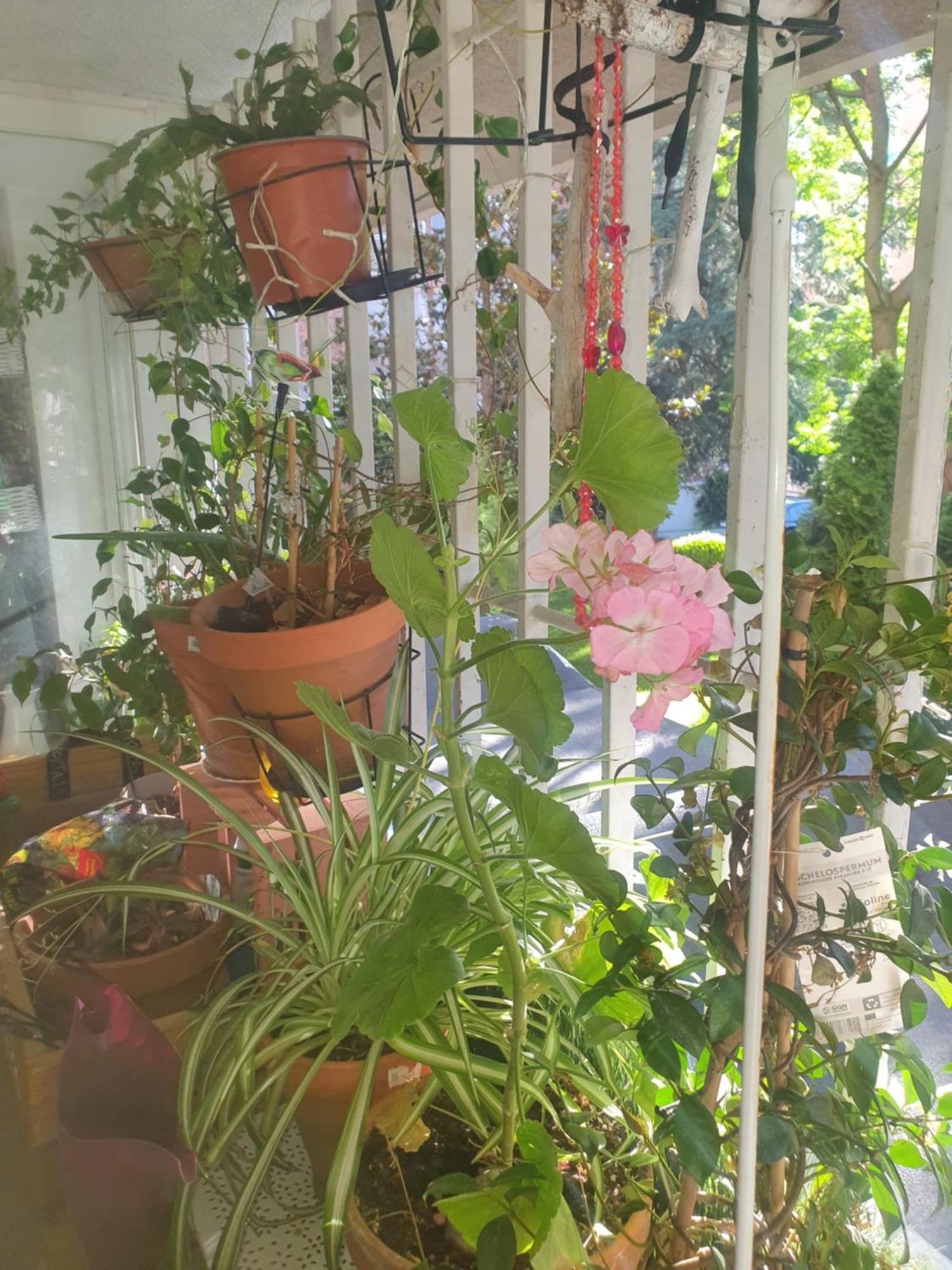 Апартаменты Libros Y Plantas A 5 Minutos Del Centro En Bus Мадрид Экстерьер фото